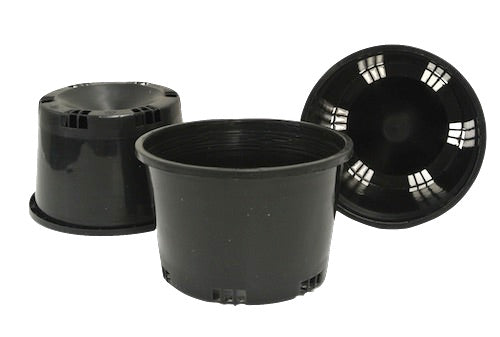 150mm Round Squat Pots x 50pcs