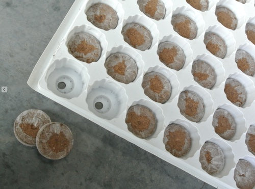J-7 42mm pellets pack with 60cell Trays - Bulk