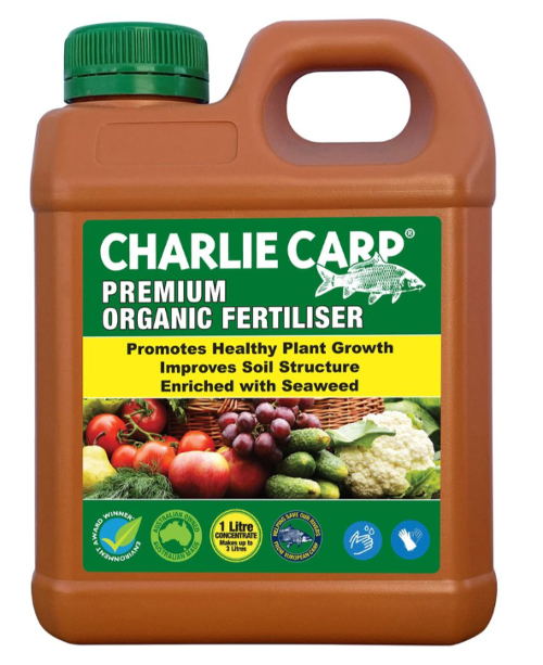 Charlie Carp 1L