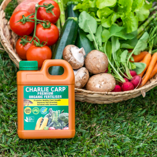 Charlie Carp 1L