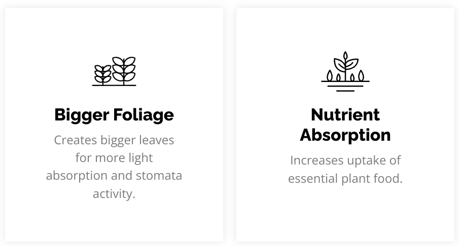 Energise - Happy Soils