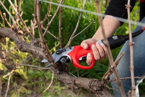 FELCO 802G+ Left Handed Version Kit Electric Pruning Shears inc 5.4Ah Battery