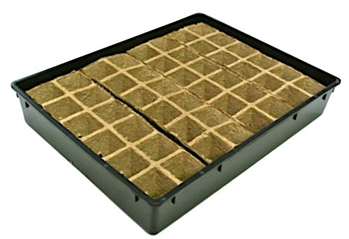 12cell Square Strips Jiffy Pot(60mm)with slits & Large Tray Set
