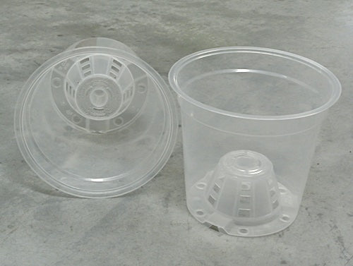 170mm TEKU Clear Recyclable - Orchids (MCO17)