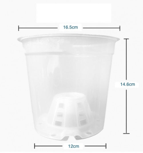 170mm TEKU Clear Recyclable - Orchids (MCO17)