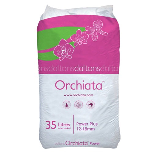 Orchiata -New Zealand Pinus Radiata by Besgrow Daltons