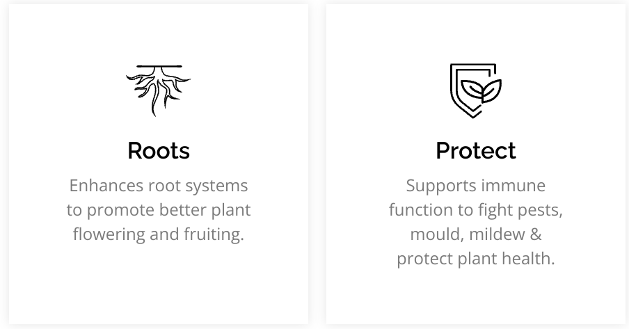 Seaweed - Happy Soils