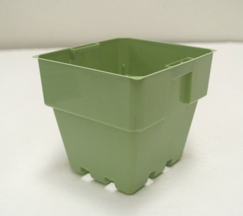 100mm Squat Punnet Pots - Light Sage Color - AusPots