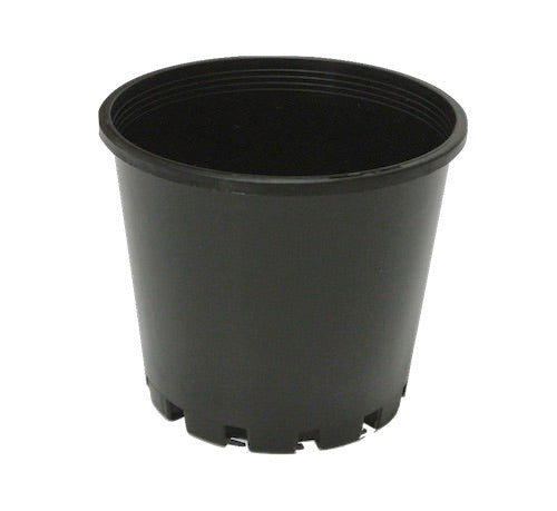 100mm Squat Garden Pots Round - AusPots