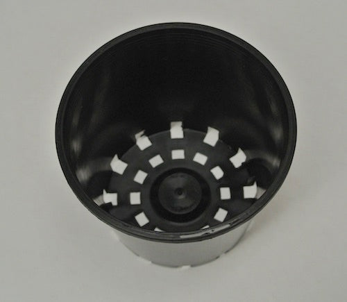 100mm Squat Garden Pots Round - AusPots