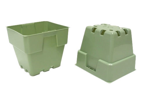 100mm Squat Punnet Pots - Light Sage Color - AusPots