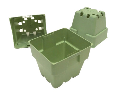 100mm Squat Punnet Pots - Light Sage Color - AusPots
