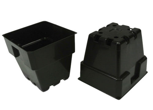 Punnet Plant Pots Square 100mm & 12cell Punnet Tray Sets