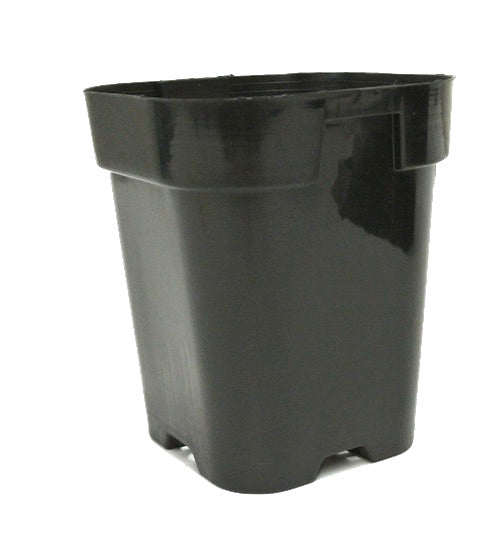 105mm Potaroo Square Garden Pots