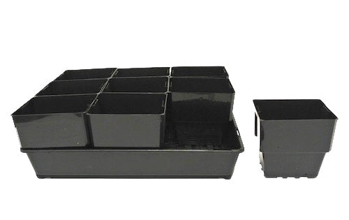 116mm Plastic Punnet Pots & Seedling Trays(Fine Hole Trays) Set