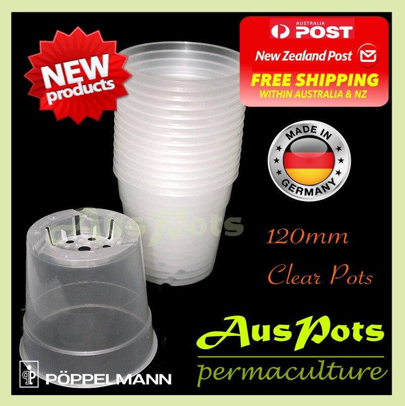 120mm Round Clear Pots -  Phalaenopsis / Orchid, Propagation, Seedlings