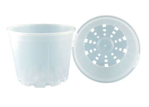 125mm Clear Round Squat Pots - Phalaenopsis / Orchid, Propagation, Seedlings - AusPots