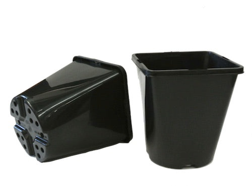 135mm Square Round Pot