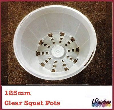 125mm Clear Round Squat Pots - Phalaenopsis / Orchid, Propagation, Seedlings - Ozpots
