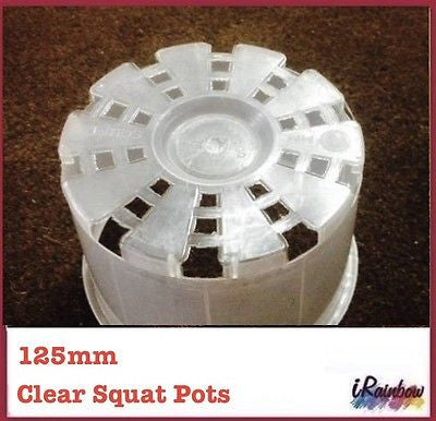 125mm Clear Round Squat Pots - Phalaenopsis / Orchid, Propagation, Seedlings - Ozpots