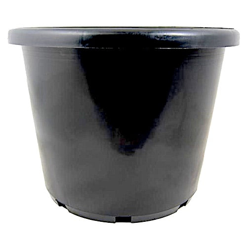 270mm Squat Pot - 8.4L