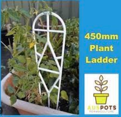 Plant Ladder 450mm