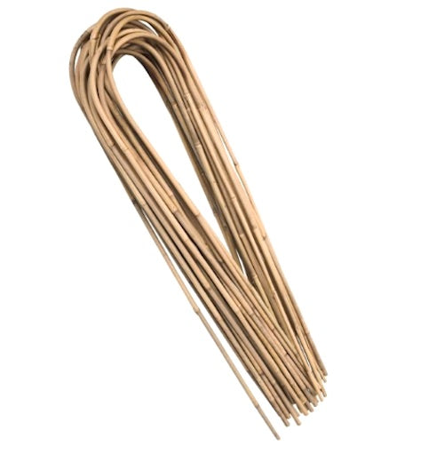 45cm Natural Bamboo U-Cane - AusPots