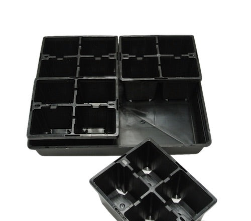 4 Cell Large Punnet + Hydro tray / Seedling & Plant Cutting Propagation - AusPots