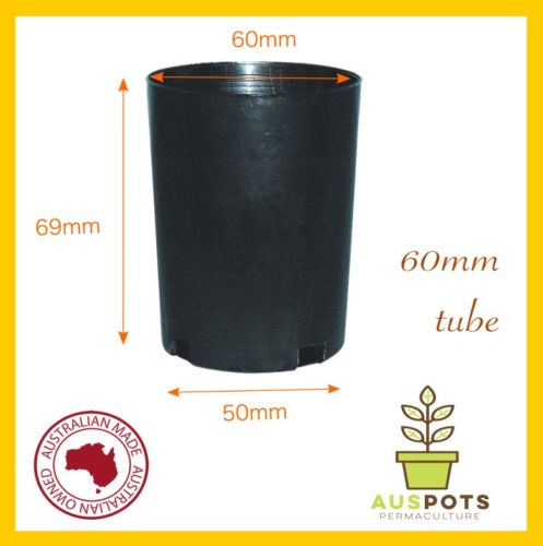 60mm Round Squat  x 40pcs - AusPots