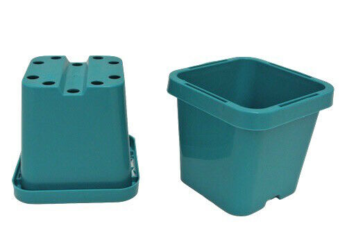 63mm Square Squat Pot - Aqua - AusPots