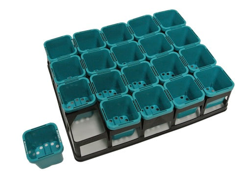 63mm Square Squat Pot ( Aqua Color) & 20cell Crate