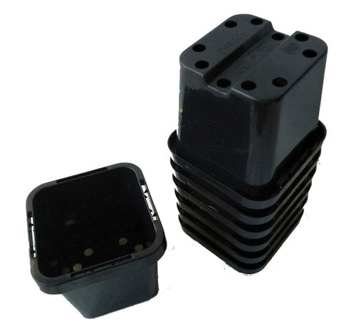 63mm Square Squat Garden Plant Pot / Punnet - AusPots