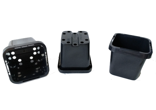 63mm Square Squat Garden Plant Pot / Punnet - AusPots