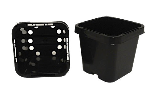 63mm Square Squat Garden Plant Pot / Punnet - AusPots