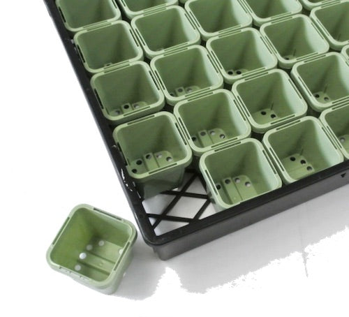 63mm Square Pots (Light Sage Color) & Large Tray Sets