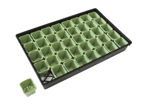 63mm Square Pots (Light Sage Color) & Large Tray Sets
