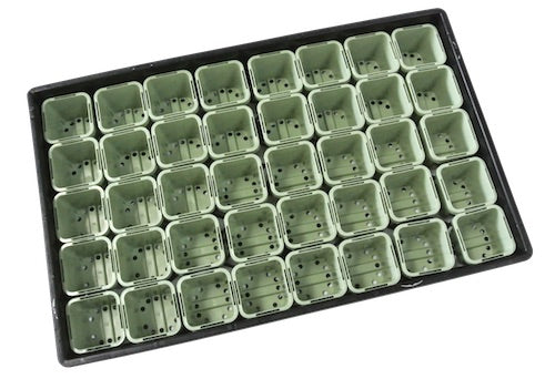 63mm Square Pots (Light Sage Color) & Large Tray Sets