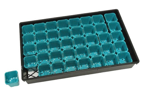 63mm Square Squat Pots (Aqua Colour) & Large Trays - AusPots