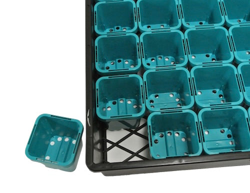 63mm Square Squat Pots (Aqua Colour) & Large Trays - AusPots