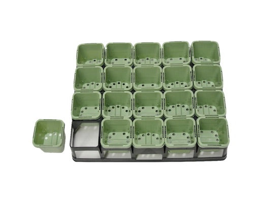 63mm Square Squat Pot - Green - AusPots