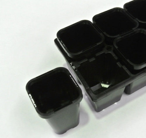 68mm Plant Pots/Tube & 10cell Punnet Tray Set