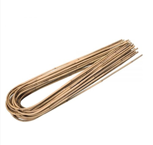 70cm Natural Bamboo U-Cane - AusPots