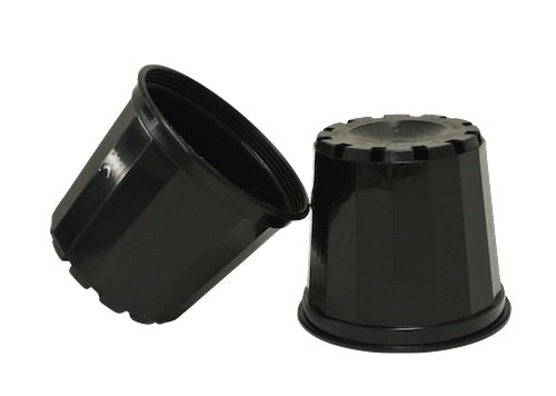 New Gen. 70mm Squat Plastic Pot