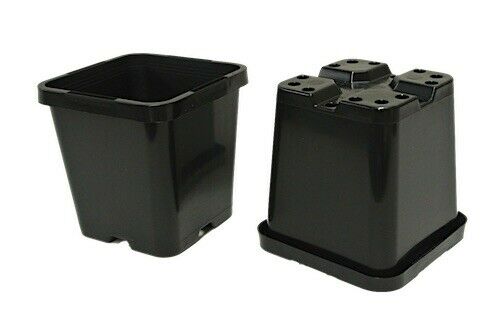 85mm Square Squat Pot - AusPots