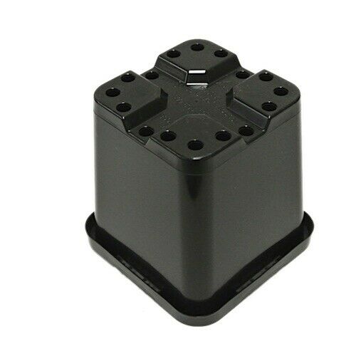 85mm Square Squat Pot - AusPots