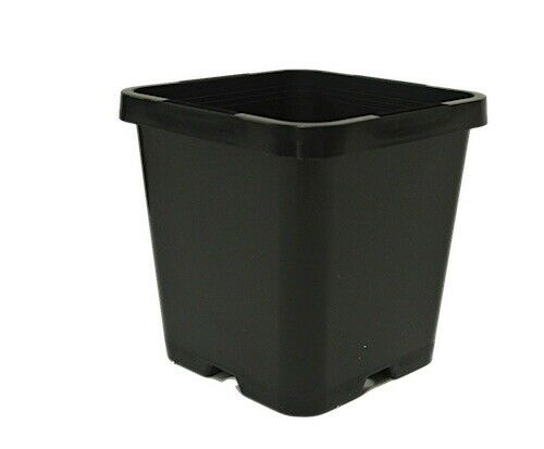 85mm Square Squat Pot - AusPots