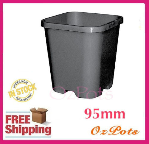 95mm x H102mm Square Punnet Plastic Plant Pots - AusPots Permaculture