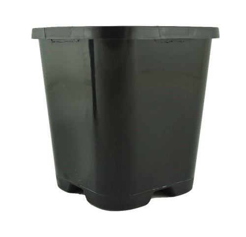 95mm x H102mm Square Punnet Plastic Plant Pots - AusPots
