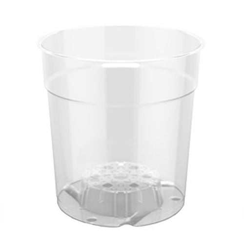 150mm Round Clear Pots - Phalaenopsis / Orchid, Plant propagation, Seedlings - AusPots