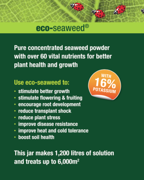 Eco-Seaweed - Soluble Seaweed Extract Powder - AusPots